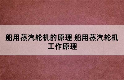 船用蒸汽轮机的原理 船用蒸汽轮机工作原理